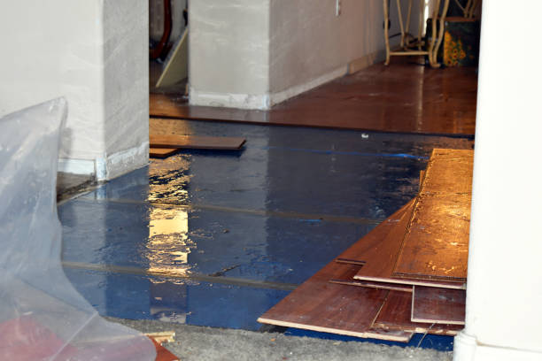 Professional Basement Flood Cleanup technician working in Cloverdale, IN
